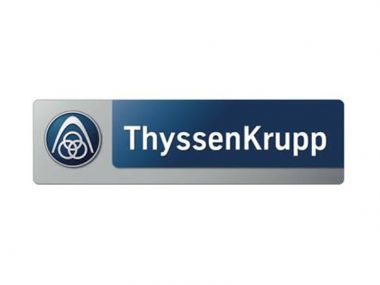 ThyssenKrupp Presta Steering (Deutschland)