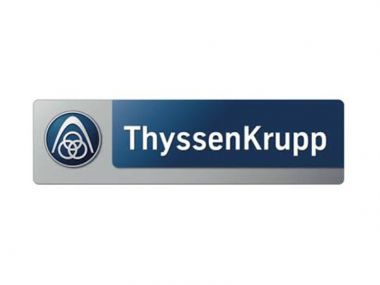 ThyssenKrupp Presta Steering (Germany)